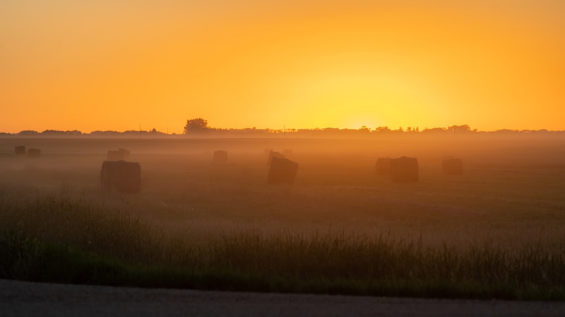 Harvest Fields by George Dinsdale